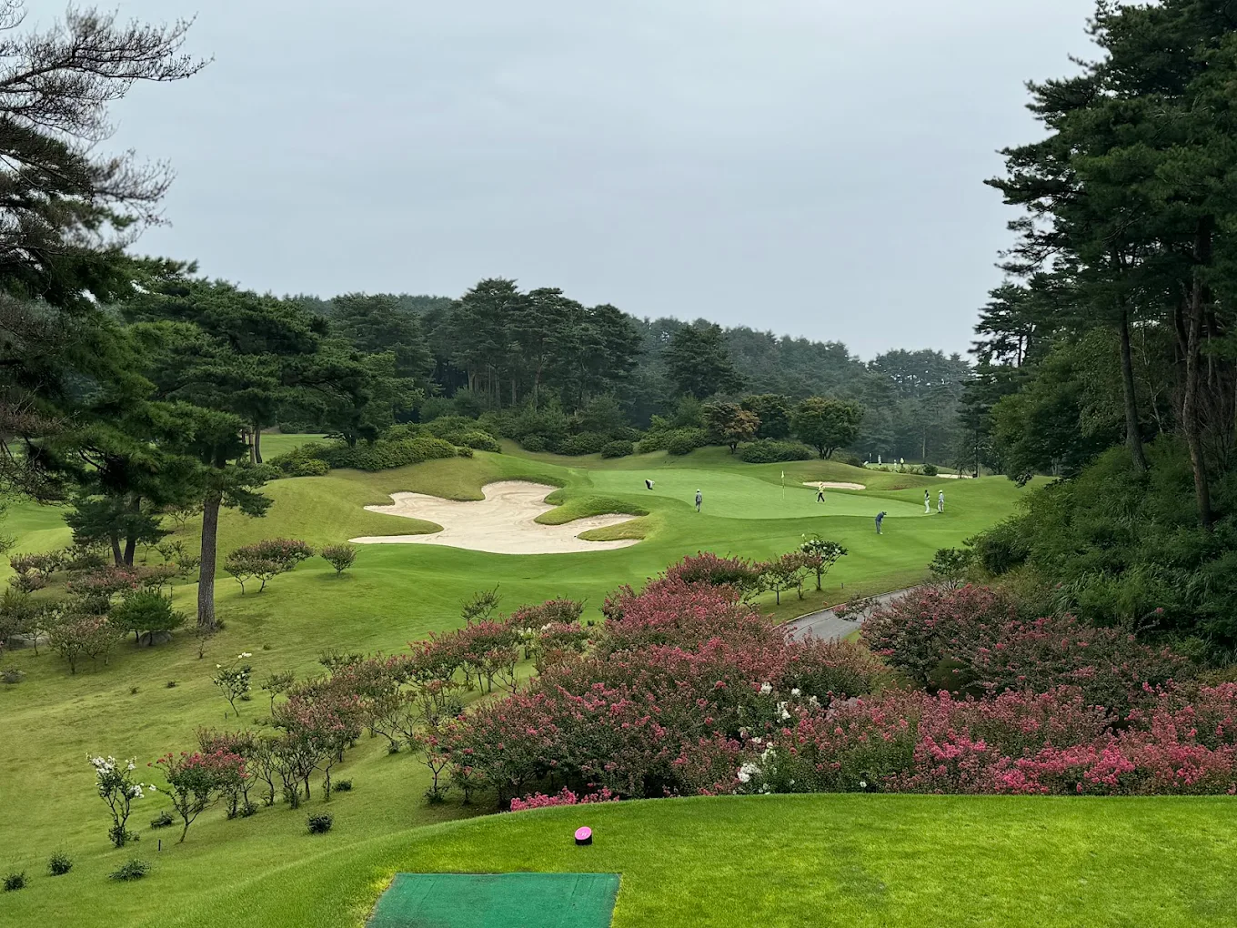 [STAY & PLAY] Sandpine golf club (Korea)
